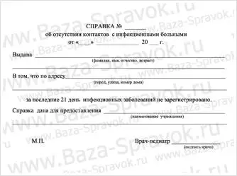 Справка об эпидокружении